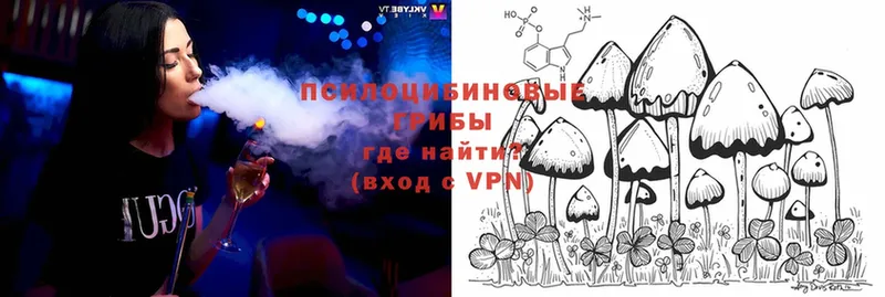 Псилоцибиновые грибы MAGIC MUSHROOMS  KRAKEN сайт  Николаевск 